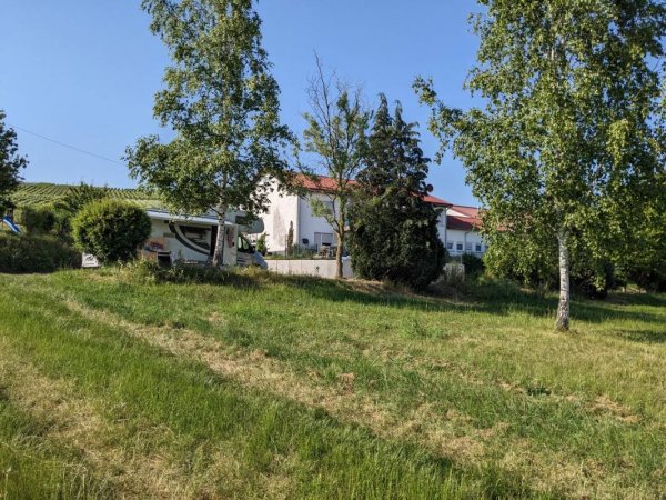 Stellplatz Weingut Plag — Foto 3