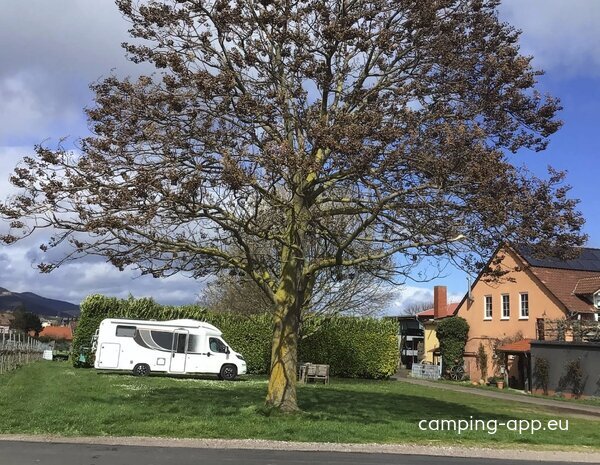 Weinstube Göring — Foto 5