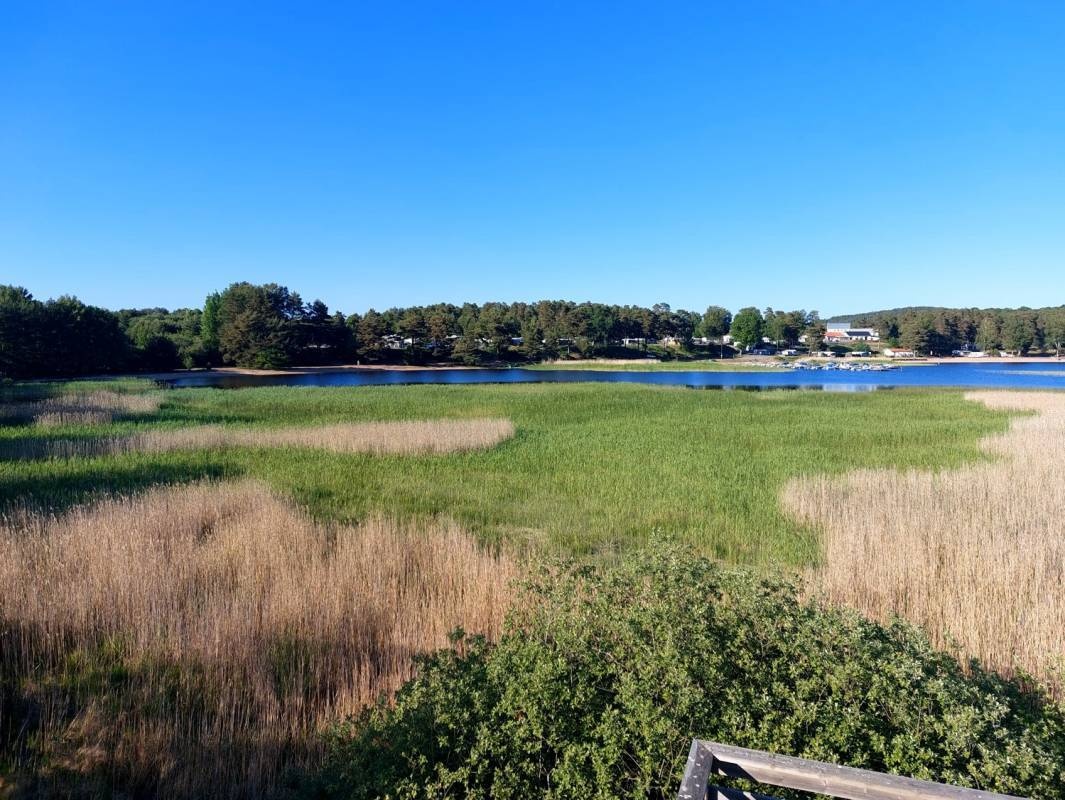 Hanatorps Camping — Campingplads in Örby