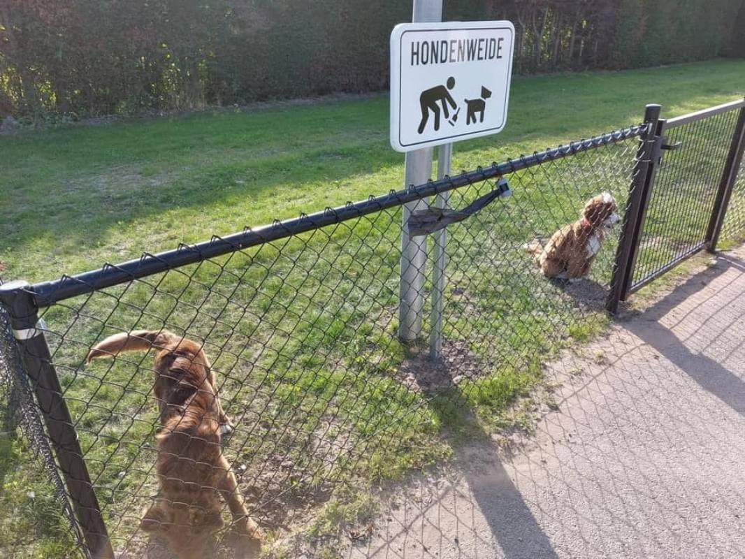 CamperDuin — Bobilplass in Koksijde