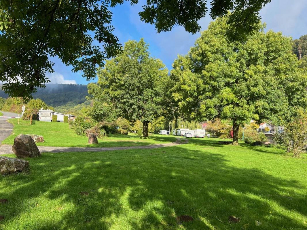 MYCN Zwingenberg Campingplatz — Місце для кемпінгу in Zwingenberg