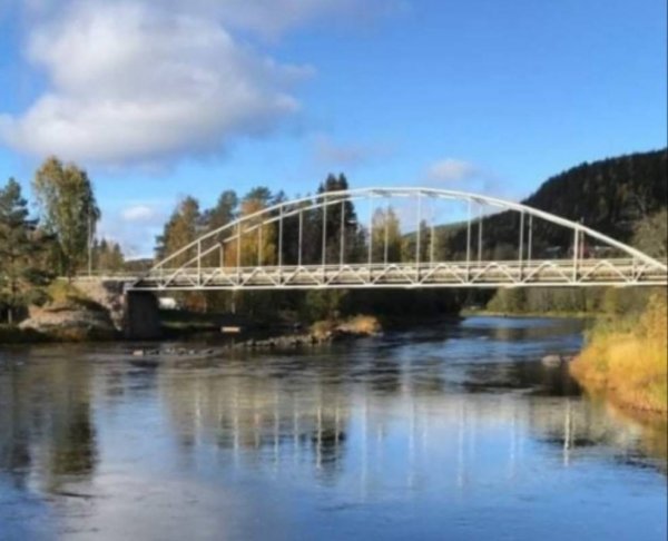 Ammeråns Fiskecamp — Photo 3