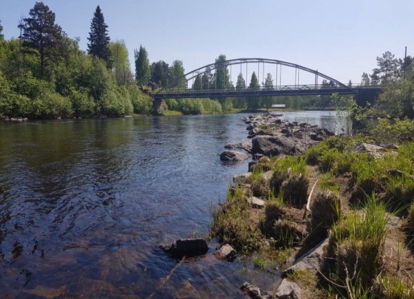 Ammeråns Fiskecamp — Photo 2