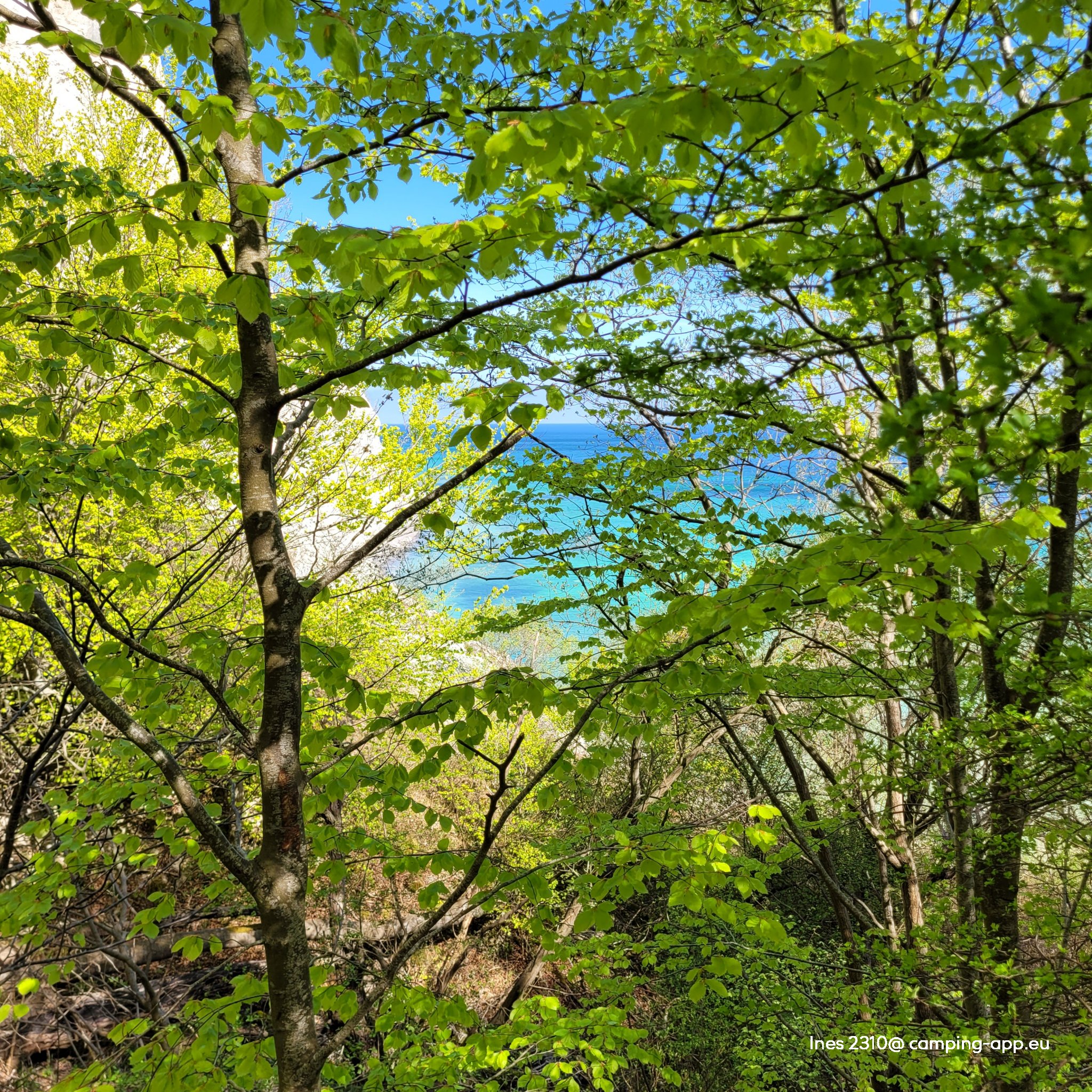 Keldby Camping — Photo 5