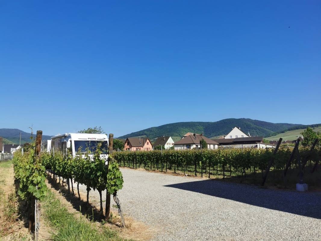 Domaine Fritz — Vineri in Kaysersberg