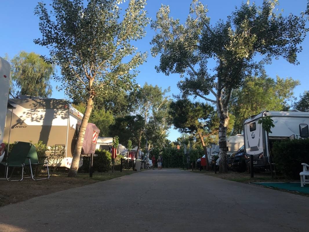 Oelia Camping — Camping Site in Nea Moudania 