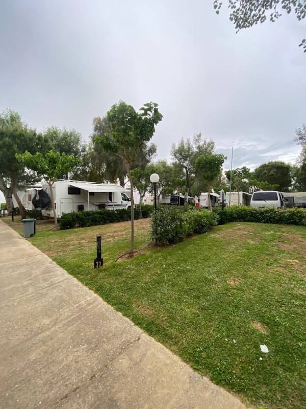 Oelia Camping — Campingplads in Nea Moudania 