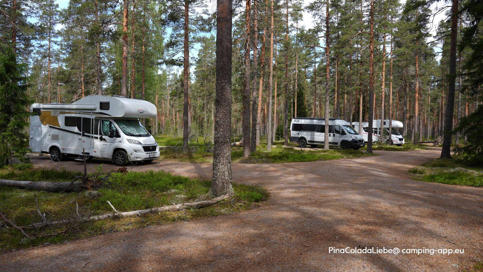 Kauhaneva-Pohjankangas — Foto 2
