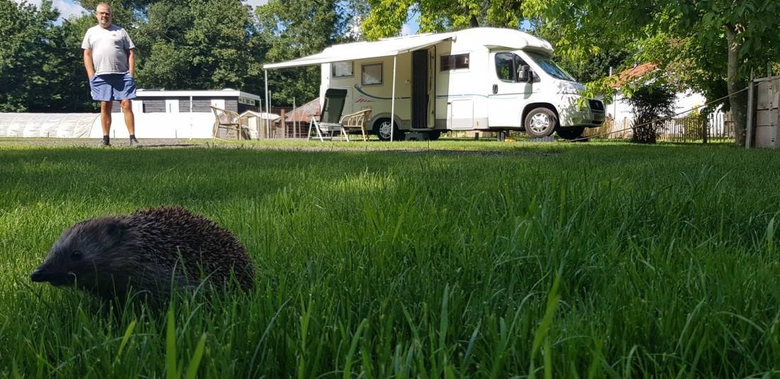 MTB Camping Fiederels — Campingplats in Bant