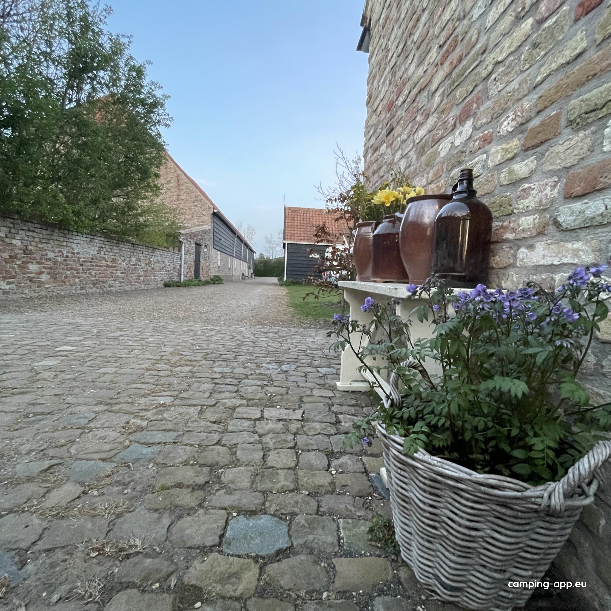 Mini Camping Sint Jan — Photo 3