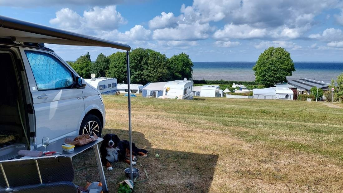Lavensby Strand Camping — Cámping in Nordborg