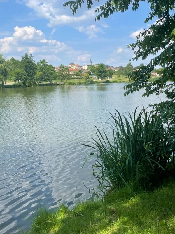 Camping de Matour — Photo 4