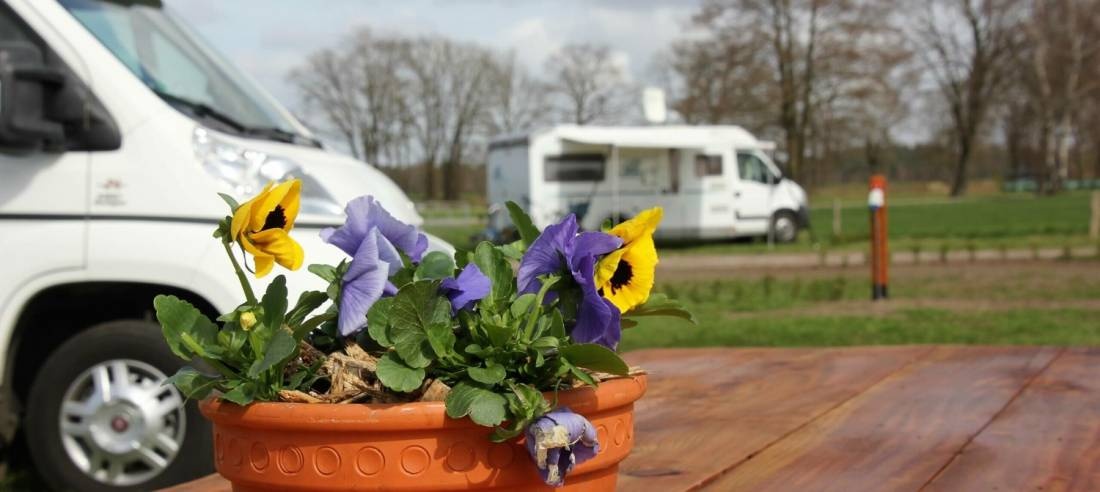 Camperplaats Sploder Stea — Campervan Site in Holten