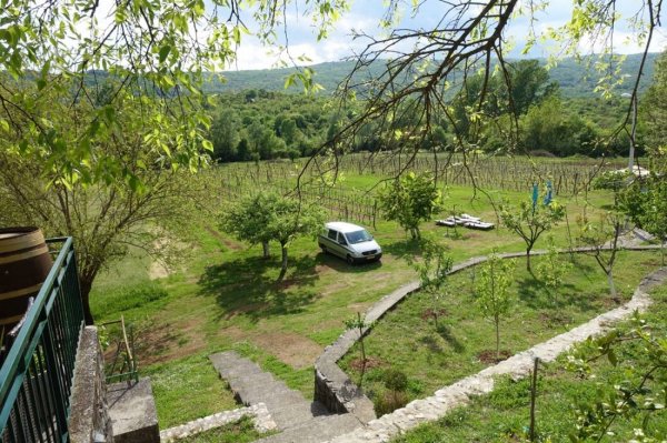 Purple Eye Estate - Camp & Winery — Foto 6
