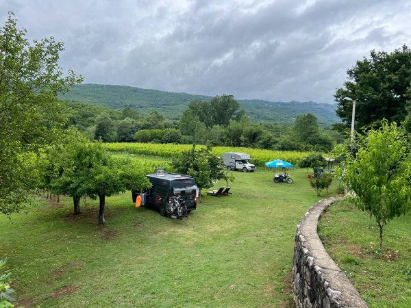 Purple Eye Estate - Camp & Winery — Foto 2
