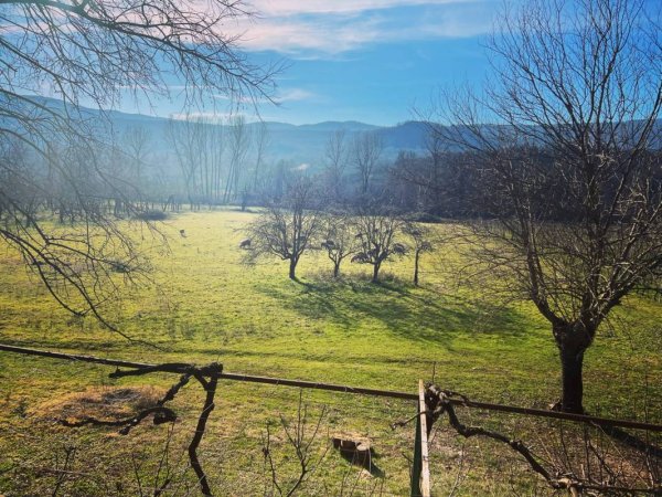 Purple Eye Estate - Camp & Winery — Photo 5