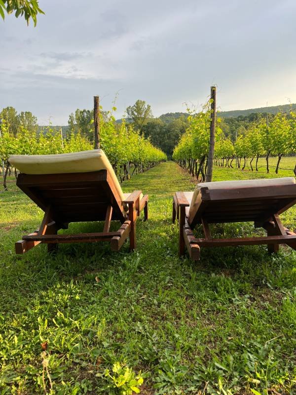 Purple Eye Estate - Camp & Winery — Photo 6