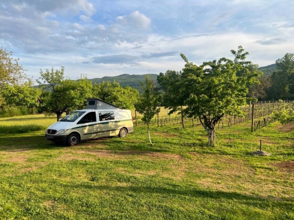 Purple Eye Estate - Camp & Winery — Photo 3
