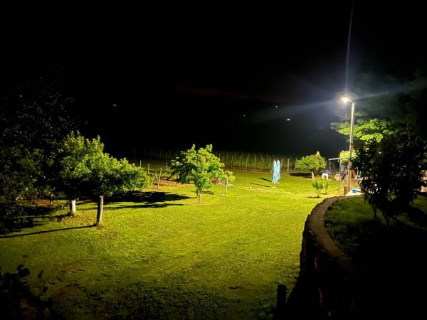 Purple Eye Estate - Camp & Winery — Foto 3