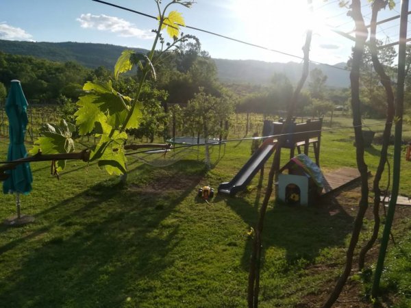 Purple Eye Estate - Camp & Winery — Photo 2