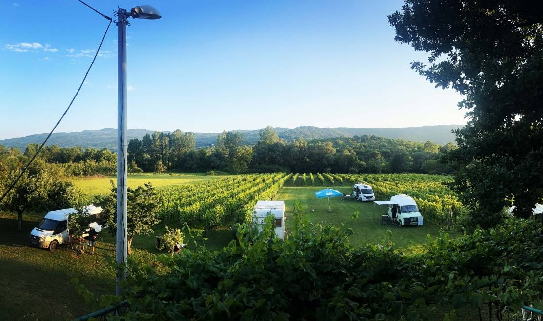 Purple Eye Estate - Camp & Winery — Weingut in Podgorica