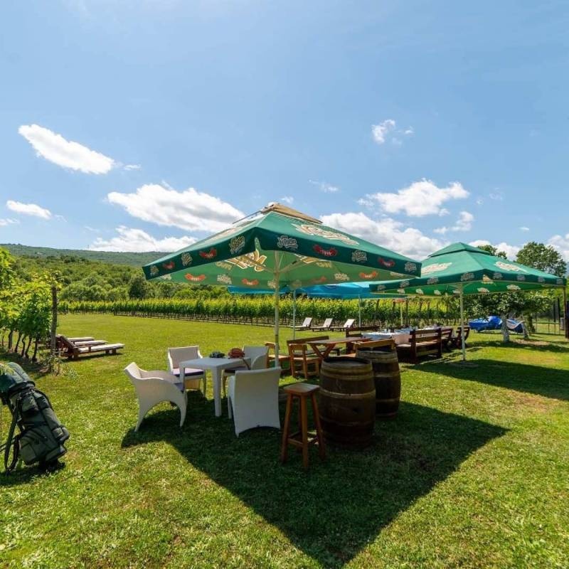 Purple Eye Estate - Camp & Winery — Winery in Podgorica