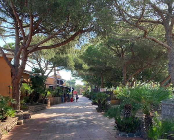 Campeggi Sardi Le Saline — Photo 2