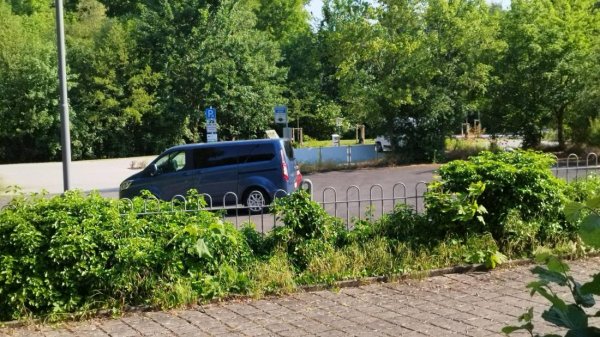 Stellplatz am Kurpark Bad Salzschlirf