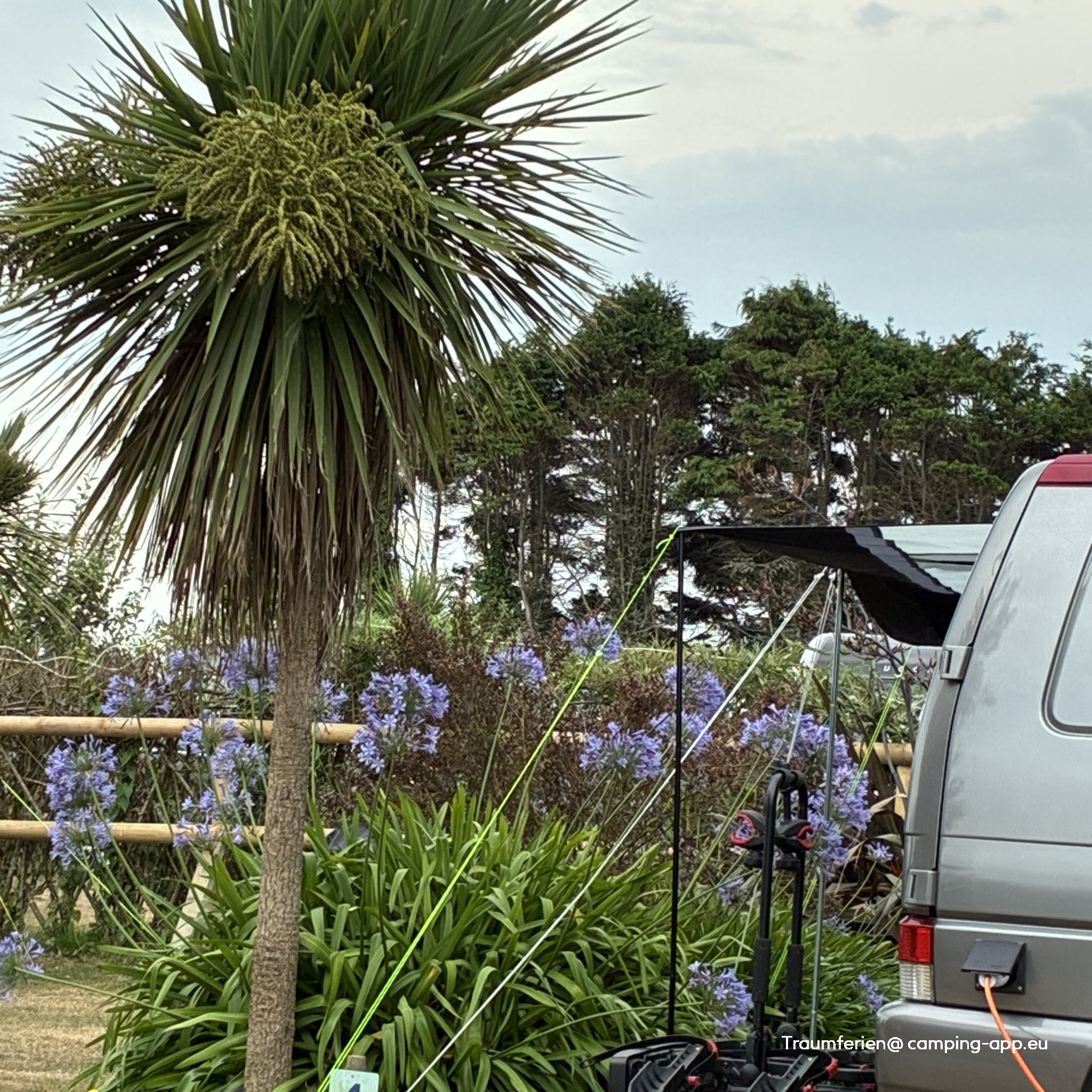 The Palms Campsite — Fotografie 5