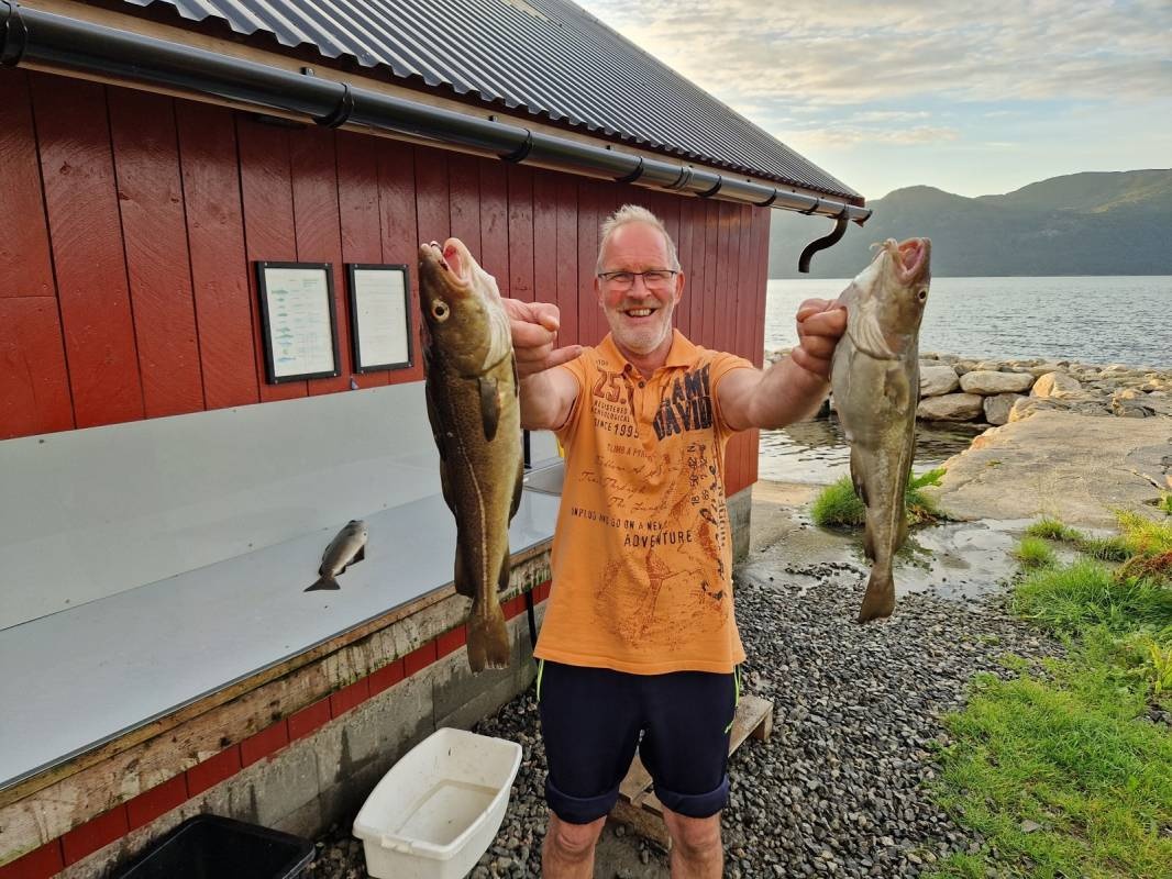 Rovdefjord Camping — Campingplads in Rovdane