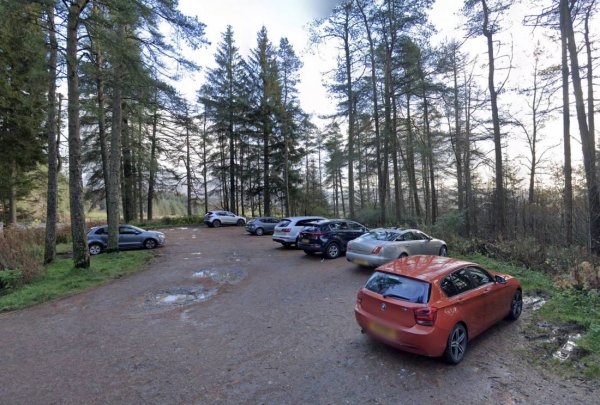 Garadhban Forest