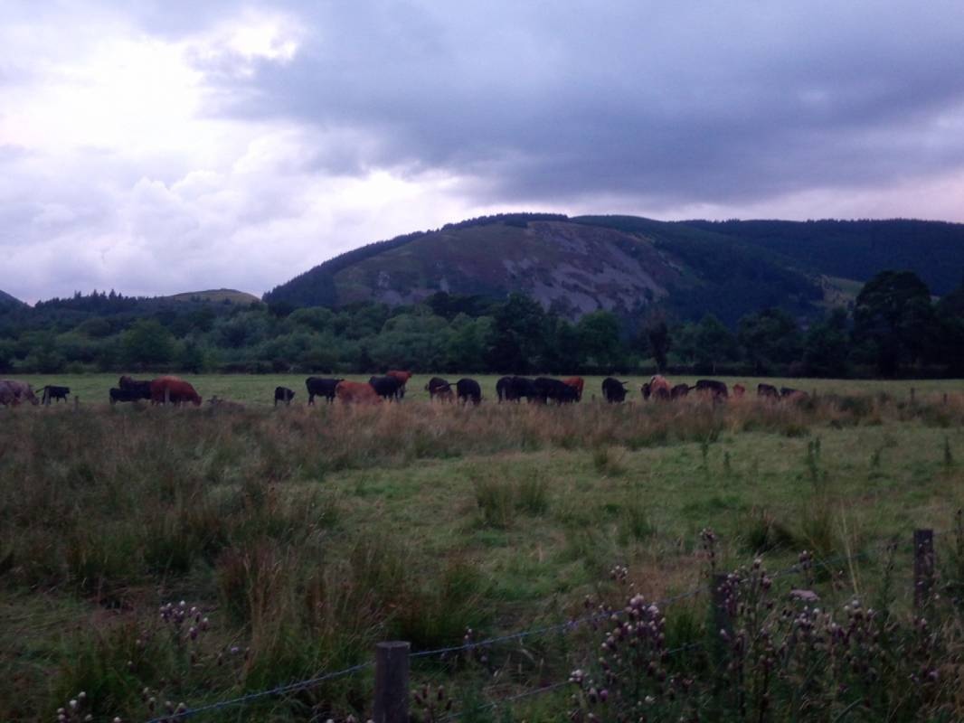 Innerleithen — Overnight-parking in 
