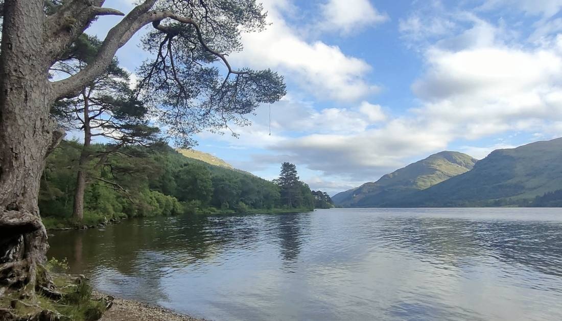 Jubilee Point, Loch Eck — Estacionamento noturno in 