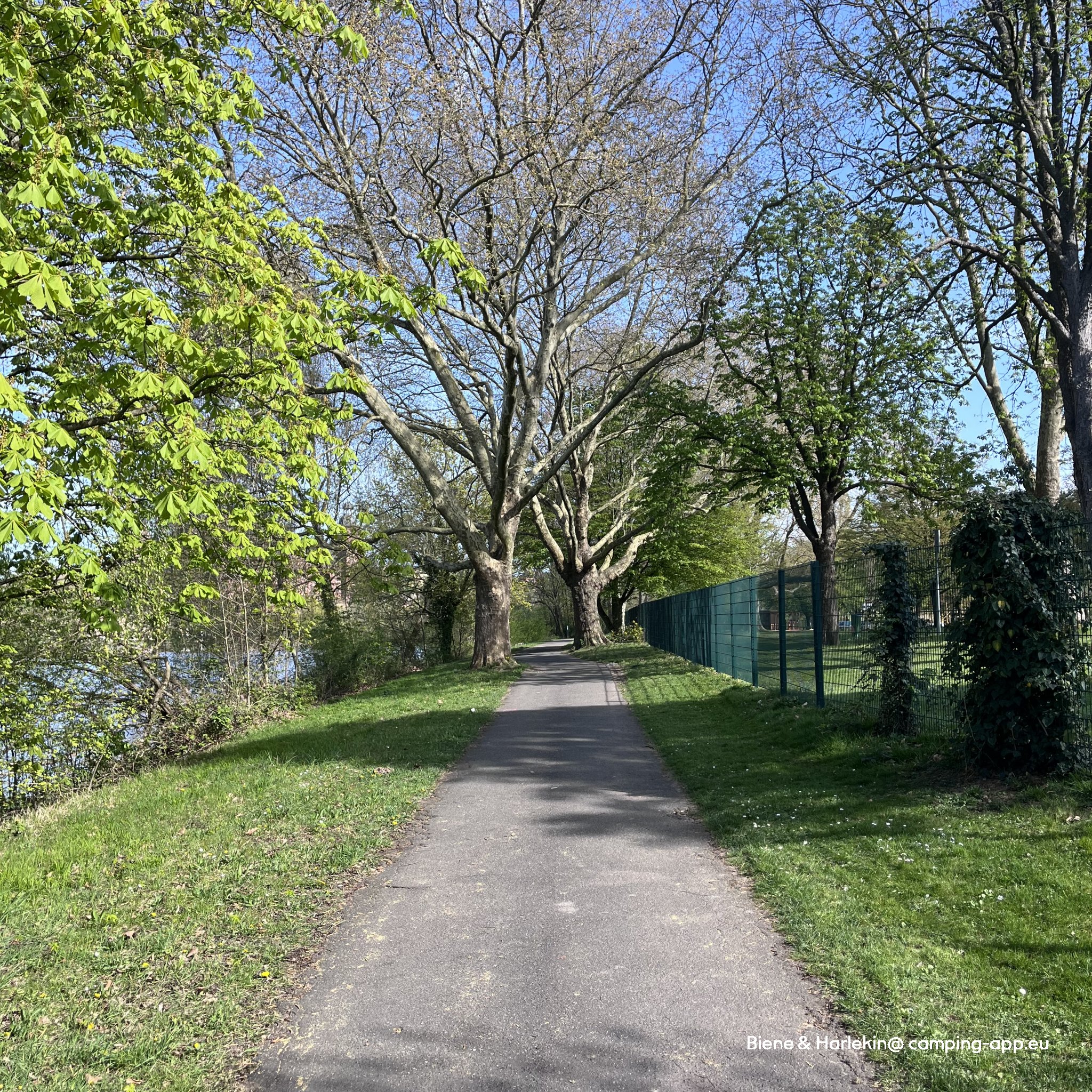 Stellplatz am Mainufer Aschaffenburg — Foto 3