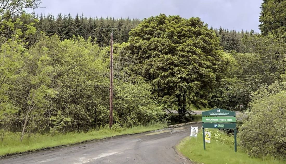 Wauchope Forest — Overnight-parking in Hawick 