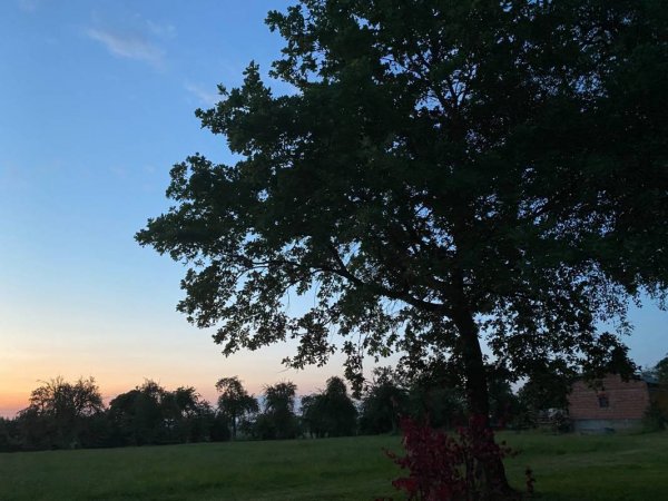 Wohnmobilstellplatz — Photo 2