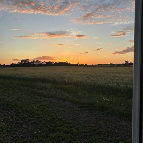 Stamhems Ställplats i Skane — Photo 5