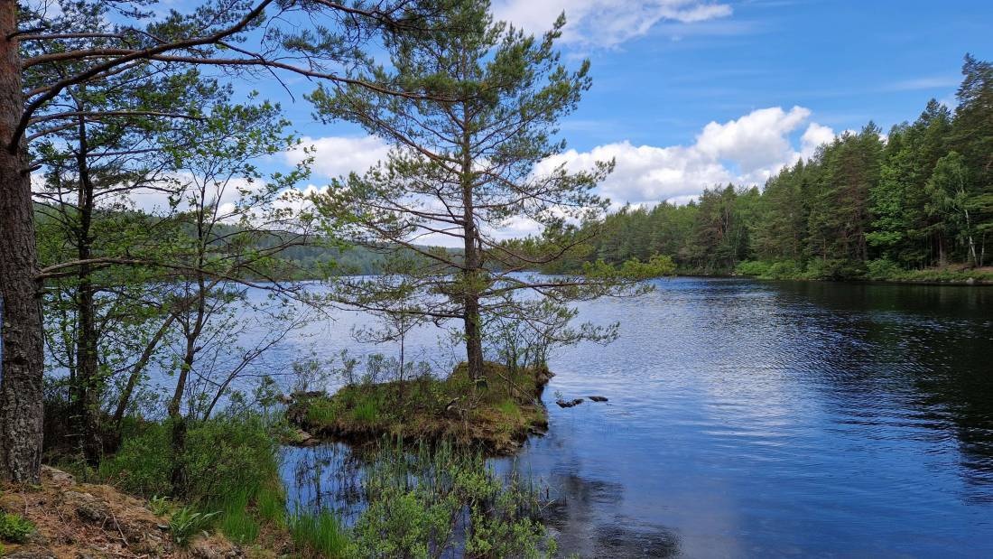Högsbyns Fritidscenter — Area da campeggio in Dals Långed