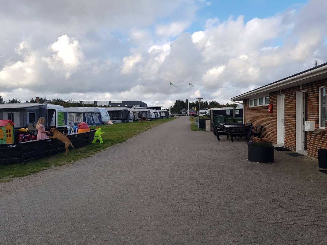 Vedersø Klit Camping — Campingplatz in Ulfborg