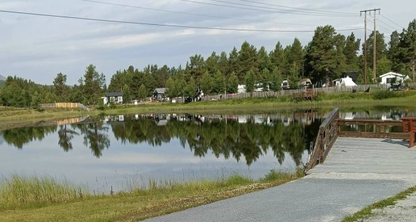 Grov Camping — Photo 4