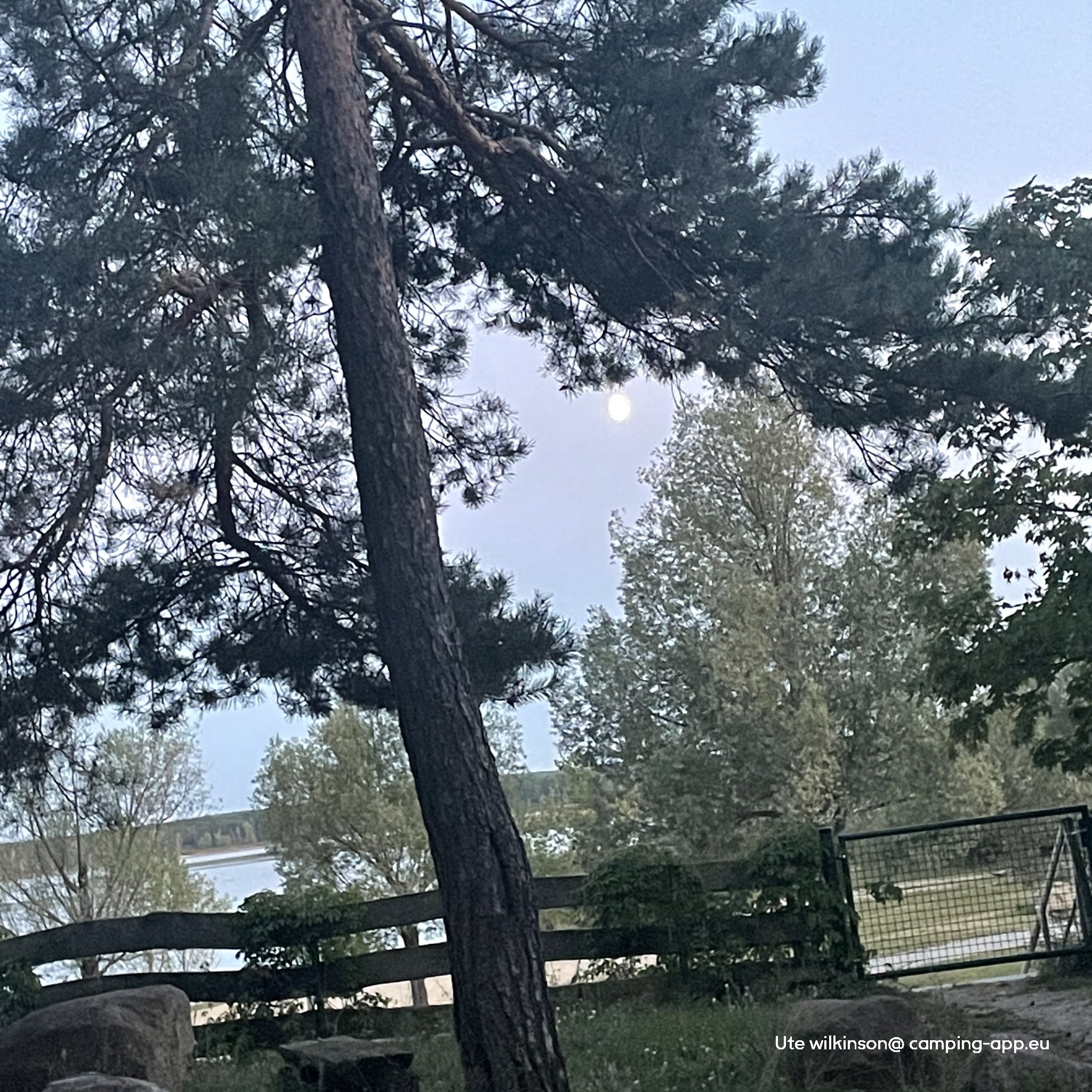 Spree Camp — Fotoğraf 2