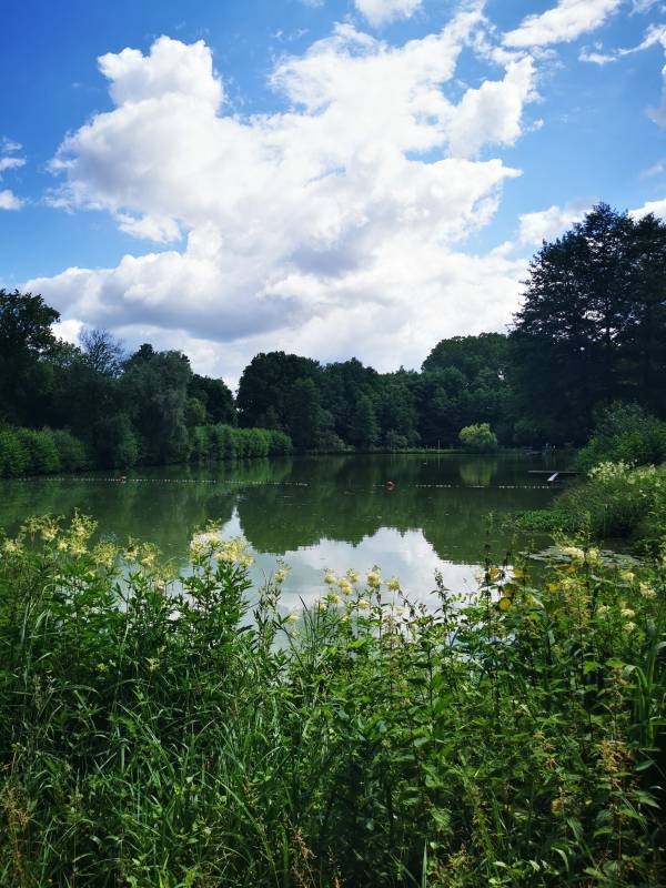 Campingplatz Niederwiesa — Kemping in Niederwiesa