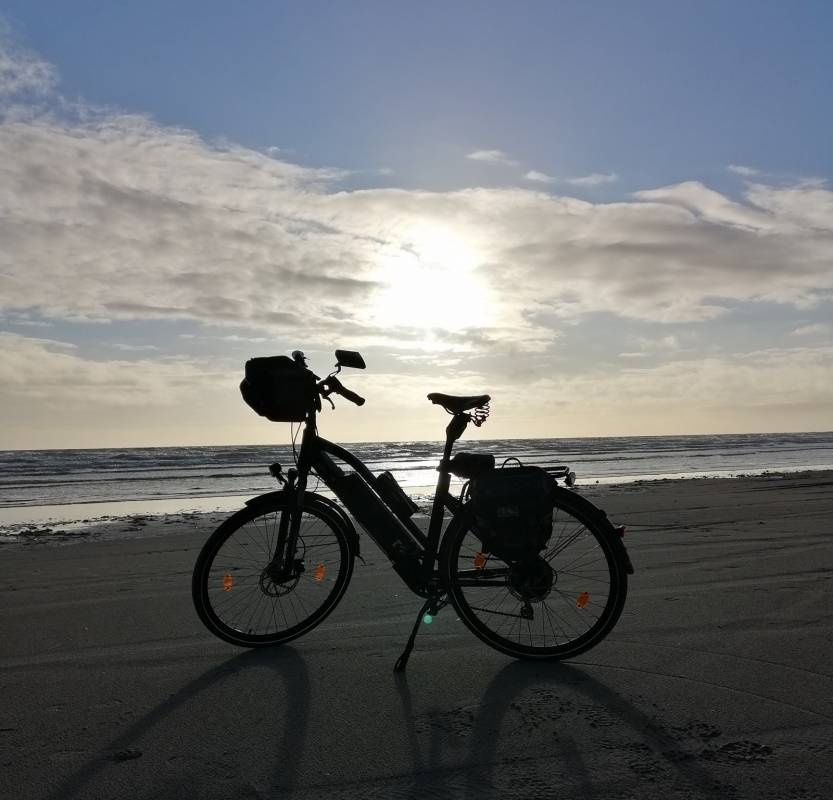 Feldberg Strandcamping — Kemping in Fanø