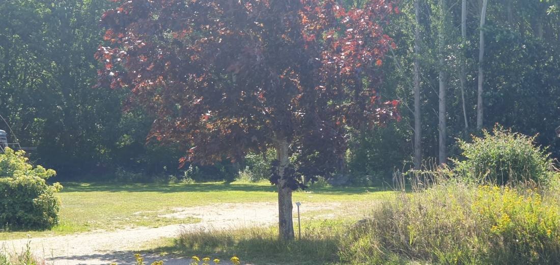 Norra Horn — 露营车营地 in 