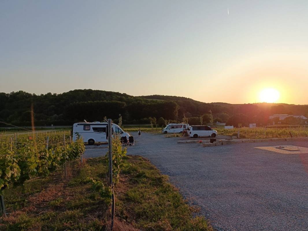 Weingut Steinmanns Töchter — Wijnmakerij in Sommerhausen
