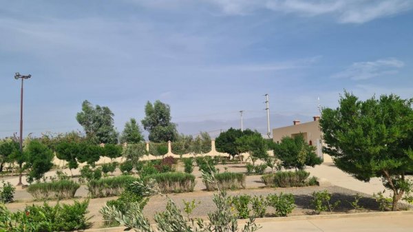 Grand Camping de Taroudant — Photo 3