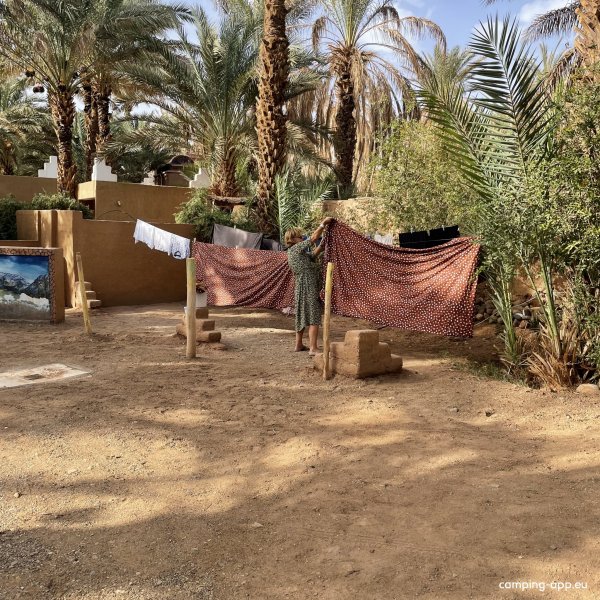 Camping Oasis Palmier — Photo 2