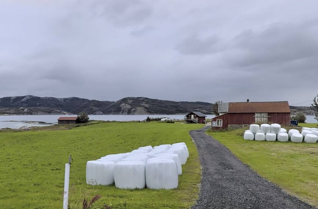 Naustholmen Camping — Campingplatz in Saltstraumen