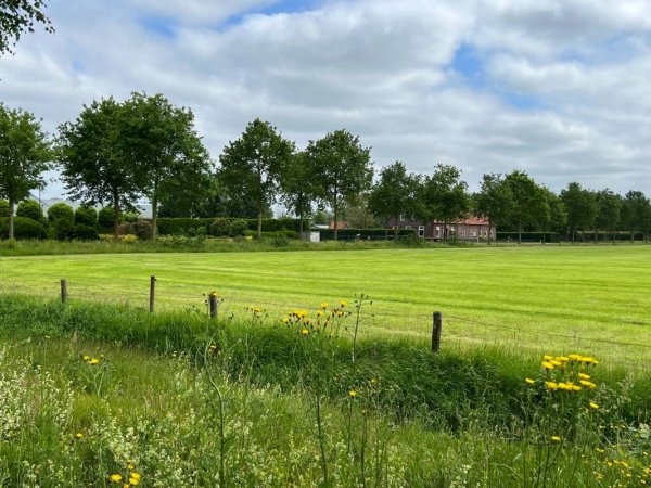Elsendorp Naturistisch Recreatiepark (Naturisten Camping) — Photo 2
