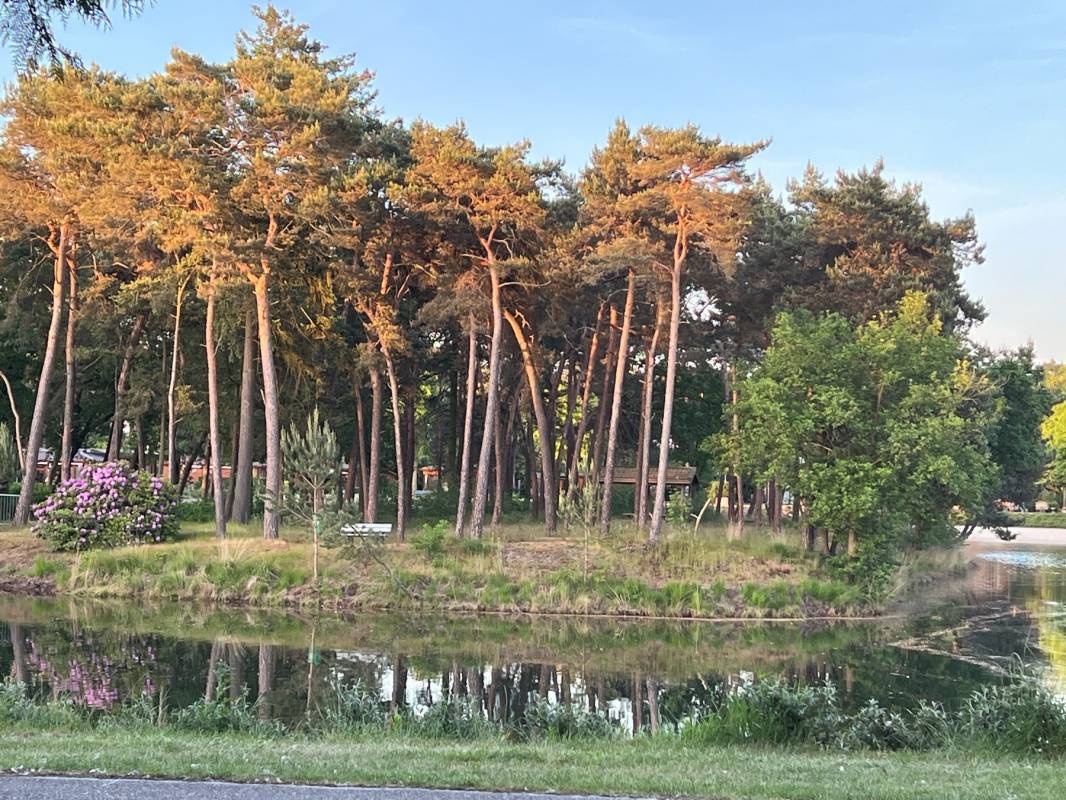 Elsendorp Naturistisch Recreatiepark (Naturisten Camping) — Місце для кемпінгу in Elsendorp
